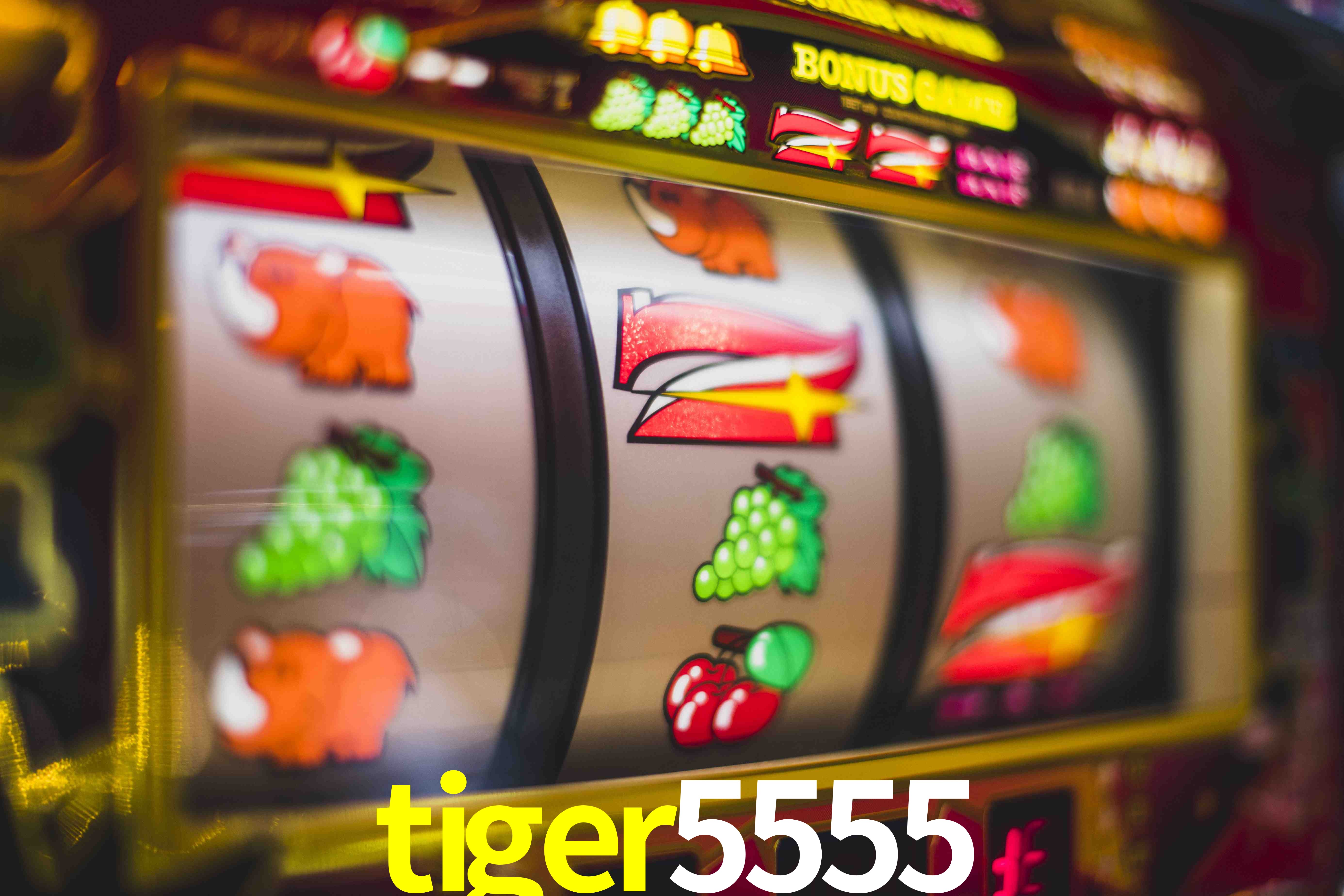 Experiência VIP tiger5555