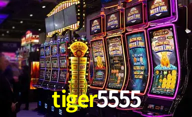 tiger5555 São Paulo - Live Tables
