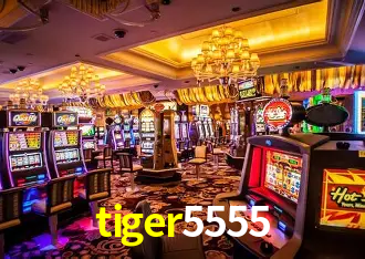 tiger5555 Curitiba - Live Status