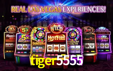 tiger5555 Salvador - Studio Tour