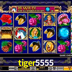 tiger5555 Brasília - Casino Guide