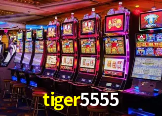 tiger5555 São Paulo - All Bonuses
