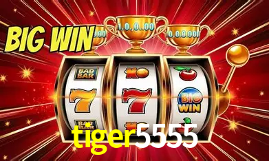 tiger5555 Rio de Janeiro - Bonus Terms